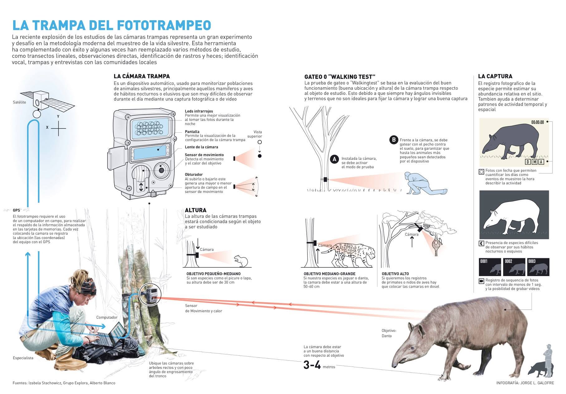 Cámara trampa en campo