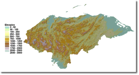 Modelo 3D de dosel forestal